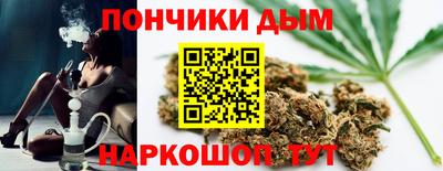прущие крисы Кингисепп